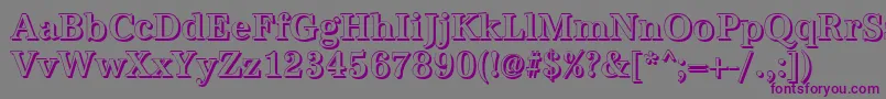 AntiquashCdMediumRegular Font – Purple Fonts on Gray Background