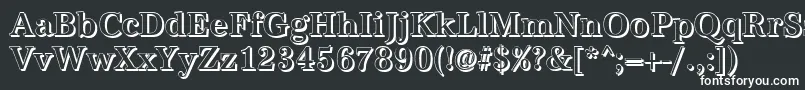 AntiquashCdMediumRegular Font – White Fonts on Black Background