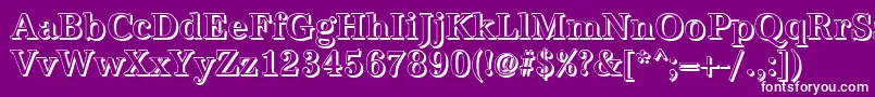 AntiquashCdMediumRegular Font – White Fonts on Purple Background