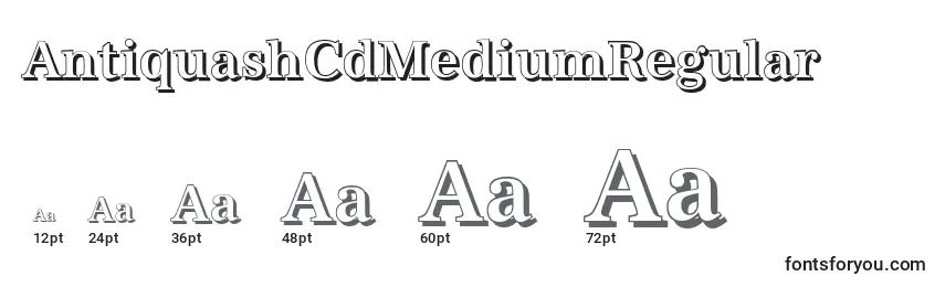 AntiquashCdMediumRegular Font Sizes
