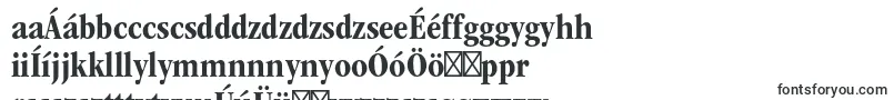Шрифт ItcgaramondstdBdcond – венгерские шрифты