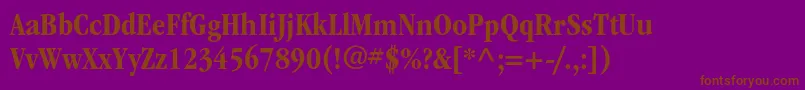 ItcgaramondstdBdcond Font – Brown Fonts on Purple Background