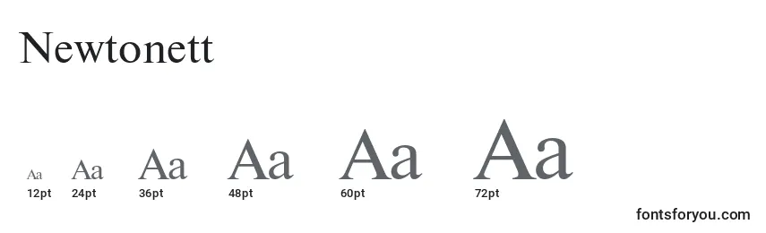 Newtonett Font Sizes