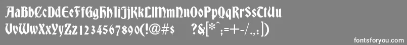 フォントDsBradley – 灰色の背景に白い文字