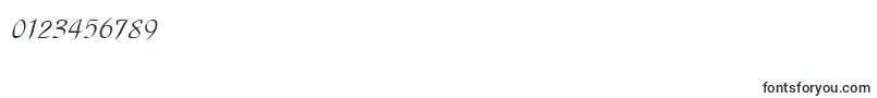 Parkavedee Font – Fonts for Numbers and Digits