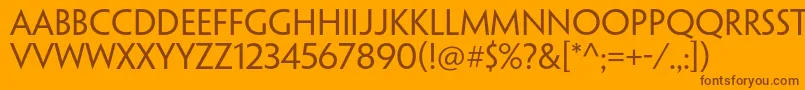 PenumbrasansstdRegular Font – Brown Fonts on Orange Background