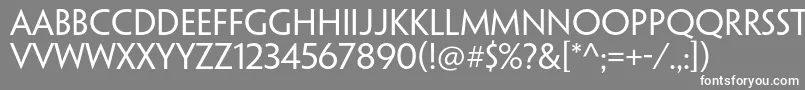 PenumbrasansstdRegular Font – White Fonts on Gray Background