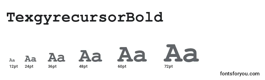 TexgyrecursorBold Font Sizes