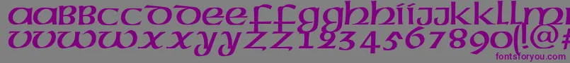 Megenc-Schriftart – Violette Schriften auf grauem Hintergrund