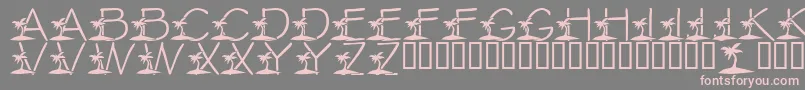 Шрифт LmsTropicalIslandDream – розовые шрифты на сером фоне