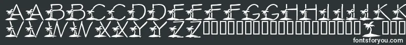 LmsTropicalIslandDream Font – White Fonts on Black Background