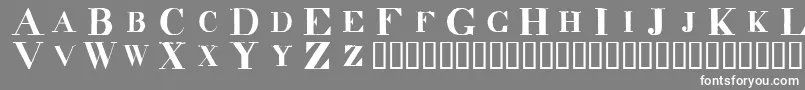 フォントDecindar – 灰色の背景に白い文字