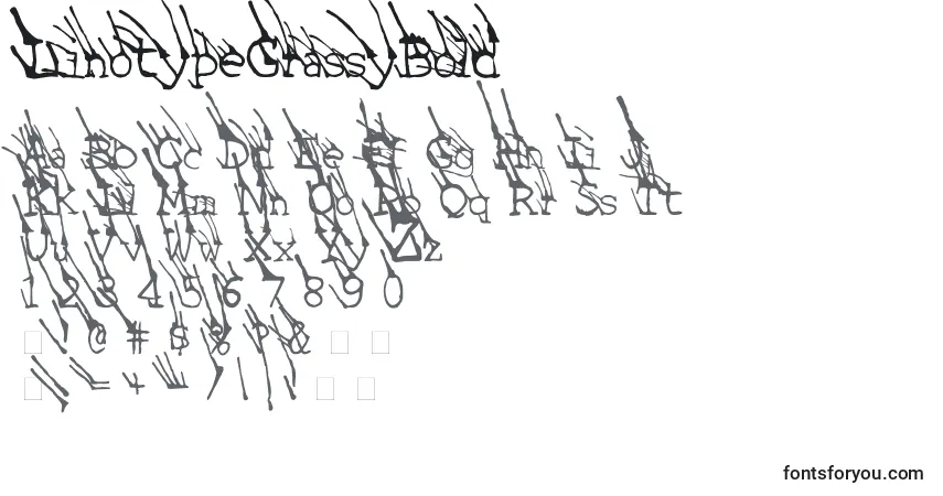 Czcionka LinotypeGrassyBold – alfabet, cyfry, specjalne znaki