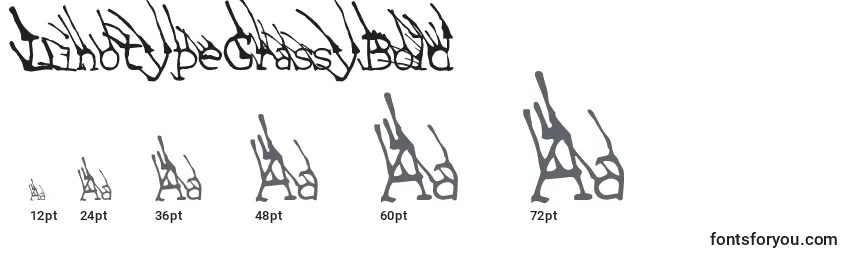 LinotypeGrassyBold Font Sizes