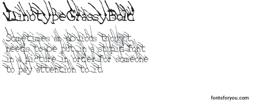 Обзор шрифта LinotypeGrassyBold