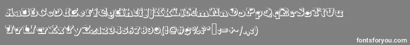 フォントMoter – 灰色の背景に白い文字