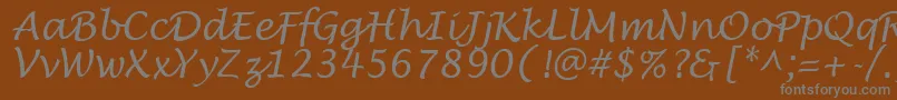 LowtideRegular-fontti – harmaat kirjasimet ruskealla taustalla