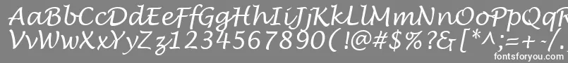 フォントLowtideRegular – 灰色の背景に白い文字