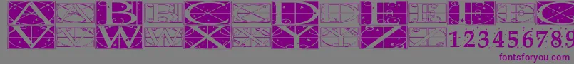 TimePundits Font – Purple Fonts on Gray Background
