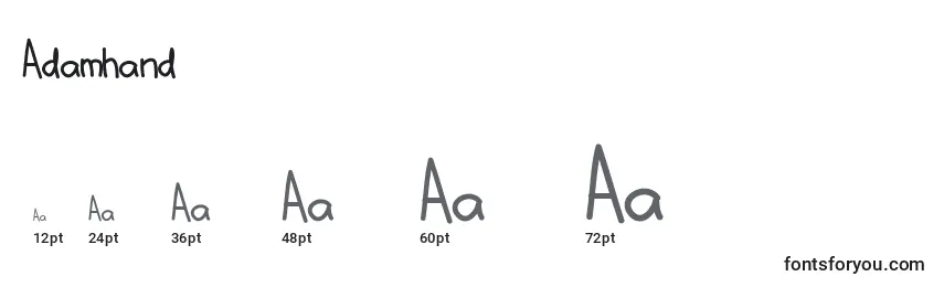 Adamhand Font Sizes