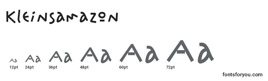 Kleinsamazon Font Sizes