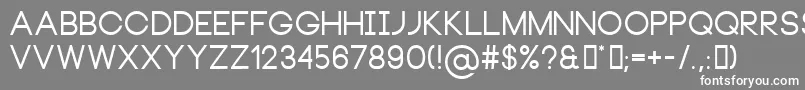 NeouBold Font – White Fonts on Gray Background