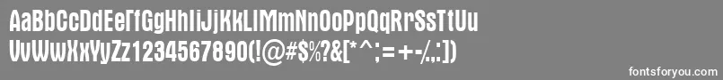 AAlternanr Font – White Fonts on Gray Background