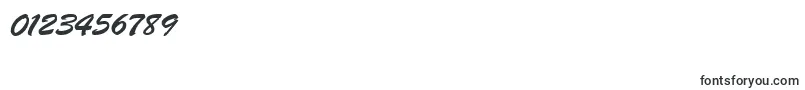 BrushScriptRegular Font – Fonts for Numbers and Digits