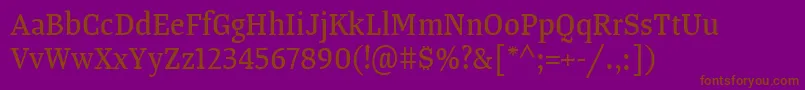 TangerserifnarrowRegular Font – Brown Fonts on Purple Background