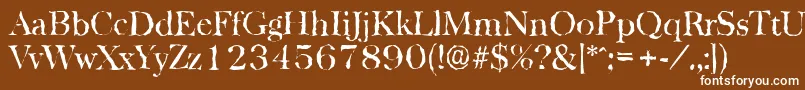 BaskervillerandomRegular Font – White Fonts on Brown Background