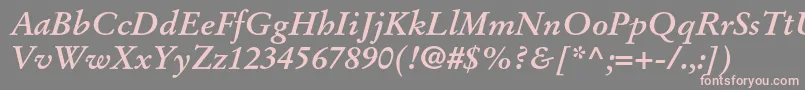 StempelgaramondltstdBoldit Font – Pink Fonts on Gray Background