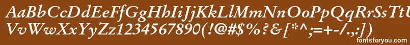 StempelgaramondltstdBoldit Font – White Fonts on Brown Background