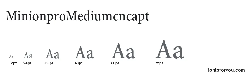 MinionproMediumcncapt Font Sizes