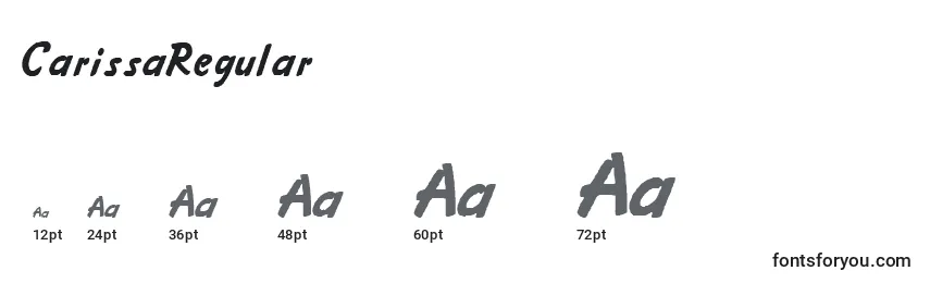 Размеры шрифта CarissaRegular