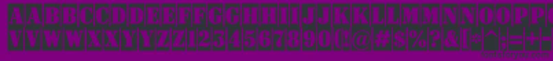 Signboardtitulnrcm Font – Black Fonts on Purple Background