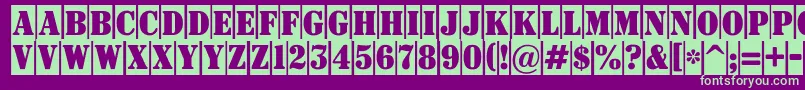 Signboardtitulnrcm Font – Green Fonts on Purple Background