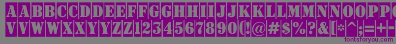 フォントSignboardtitulnrcm – 紫色のフォント、灰色の背景