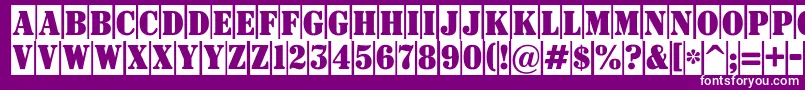 Signboardtitulnrcm Font – White Fonts on Purple Background