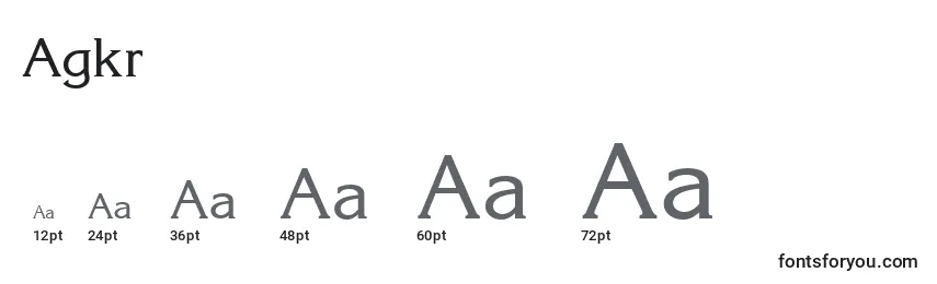 Размеры шрифта Agkr