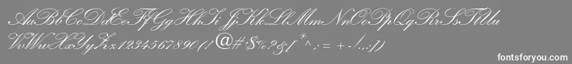 Kuenstlerscriptltstd2bold Font – White Fonts on Gray Background