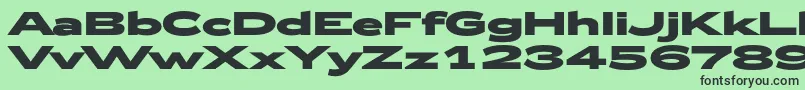 Zeppelin53Bold Font – Black Fonts on Green Background
