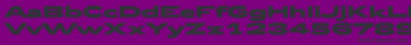 fuente Zeppelin53Bold – Fuentes Negras Sobre Fondo Morado