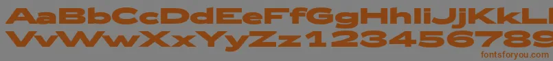 Zeppelin53Bold Font – Brown Fonts on Gray Background
