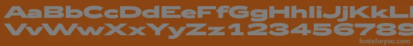Zeppelin53Bold Font – Gray Fonts on Brown Background