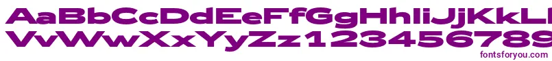 Zeppelin53Bold-Schriftart – Violette Schriften auf weißem Hintergrund
