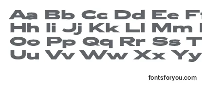 Zeppelin53Bold Font