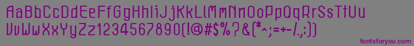 LeichtBook Font – Purple Fonts on Gray Background