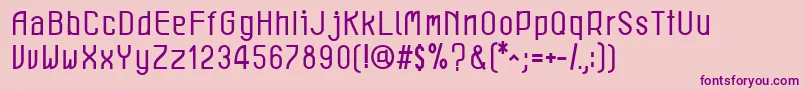 Police LeichtBook – polices violettes sur fond rose