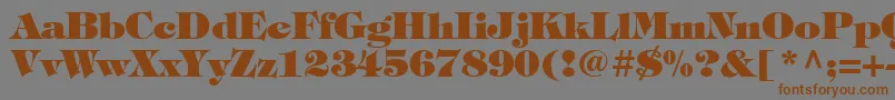 Timpaniheavy Font – Brown Fonts on Gray Background