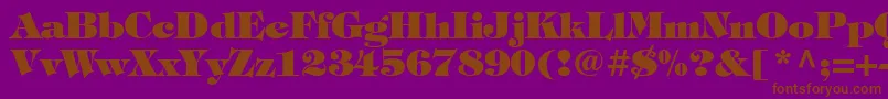 Timpaniheavy-Schriftart – Braune Schriften auf violettem Hintergrund